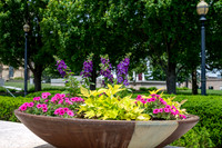 SMJ_2546-8