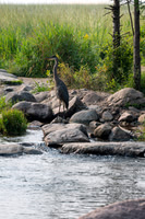 SMJ_2627-3
