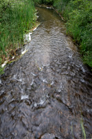 SMJ_2626-2