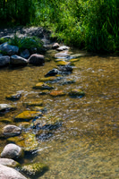 DSC_1872