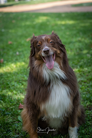SMJ_0123