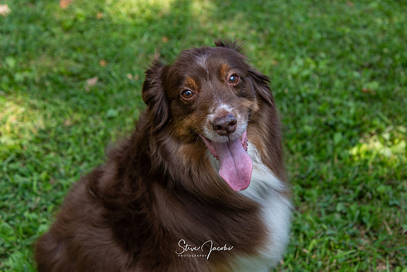 SMJ_0129