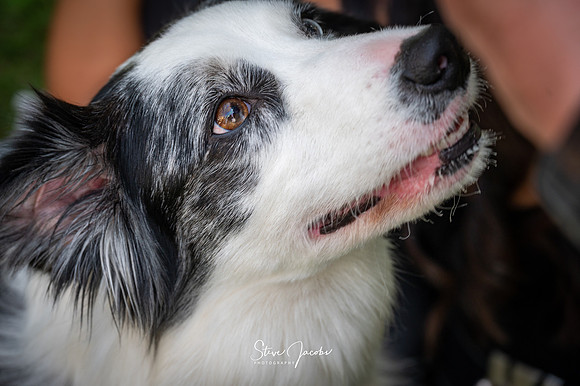 SMJ_3315
