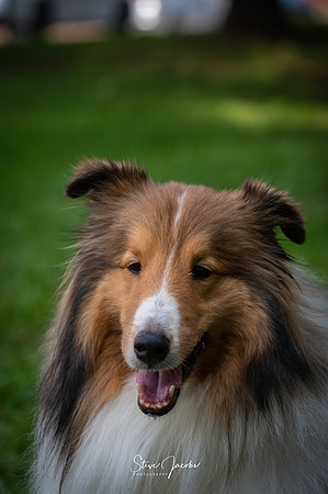 SMJ_3294