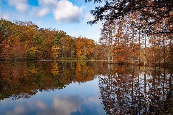 SMJ_6906 Fall Reflections