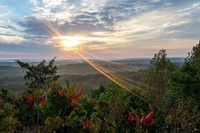 SMJ_3833